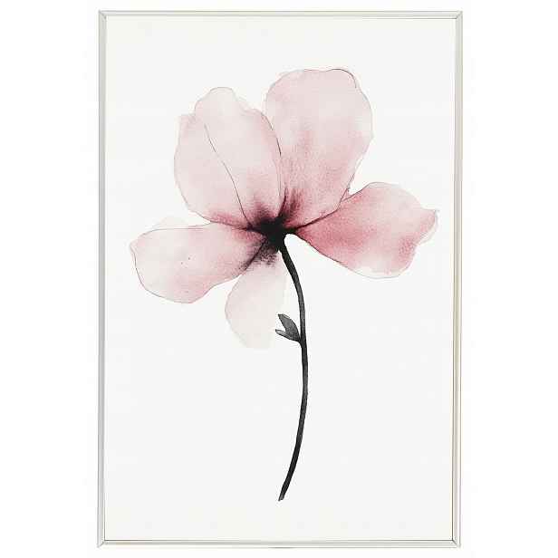 Plakát Rámeček Hliník Akvarel Příroda Zahrada Květ Růžová Magnolie 40x60