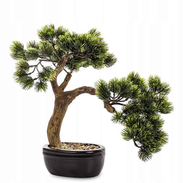 Dekorativní zelená rostlina v květináči, hnědá umělý květ stromek bonsai