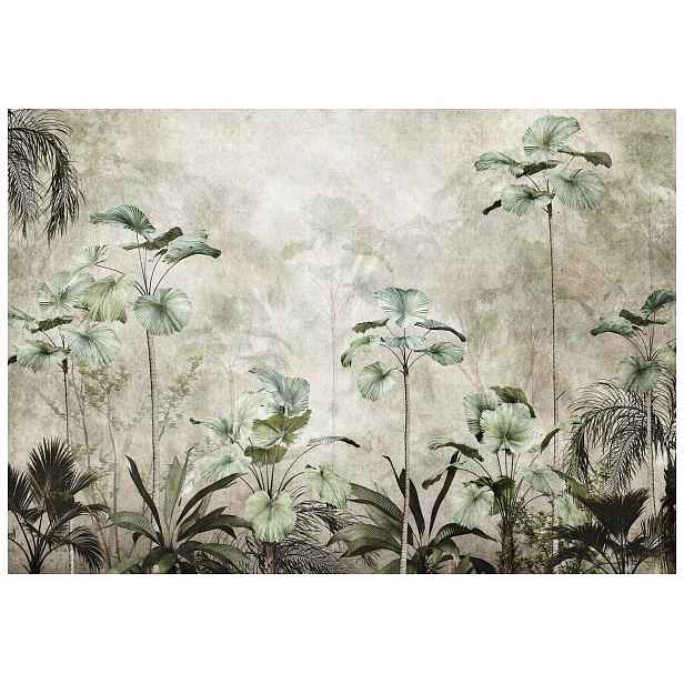 Fototapeta Palmové listy Licuala Grandis béžová mlha 150x105 lepidlo