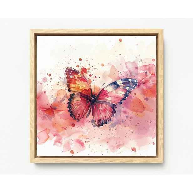 Obraz Rám Americký Box Akvarel Malířství Barva Hmyz Červený Motýl 60x60