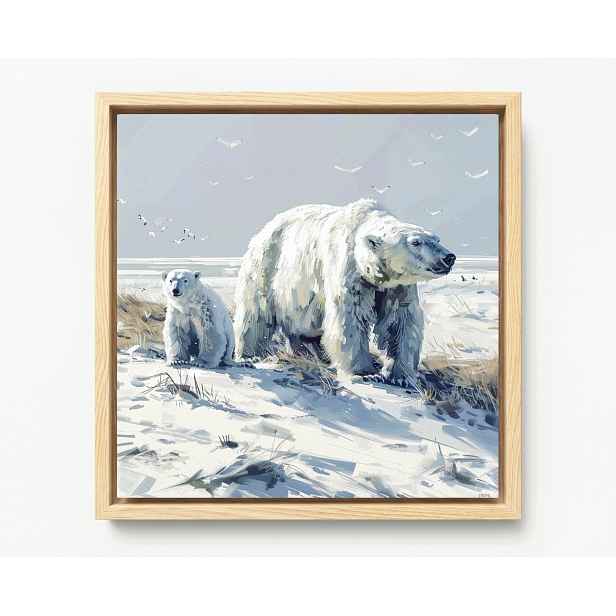Obraz Rám Americký Box Polární Medvěd Bílý Medvídek Zima Pól 60x60
