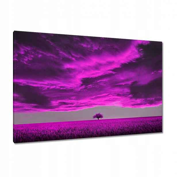 Obrazy 120x80 Fialová krajina