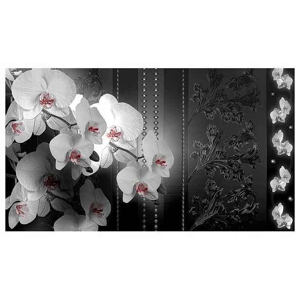 Vliesová fototapeta Orchidej Temná zahrada černo-šedá 416x254 lepidlo