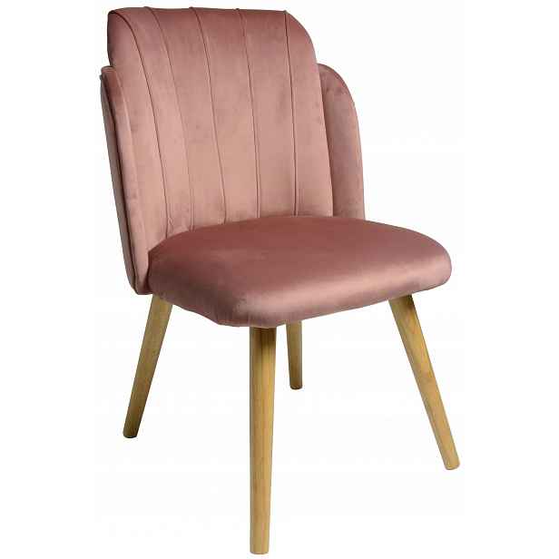Křeslo Dankor Design Bob velur starorůžová dřevo