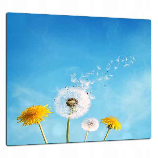 Skleněná Ochranná Deska Panel Lepidlo 65x60 Květiny