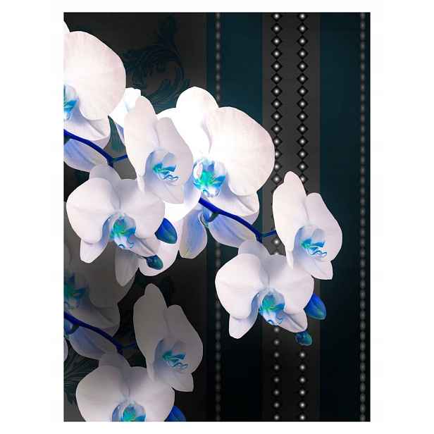 Fototapeta Bílé orchideje Elegance a styl na zeď 206x275 lepidlo