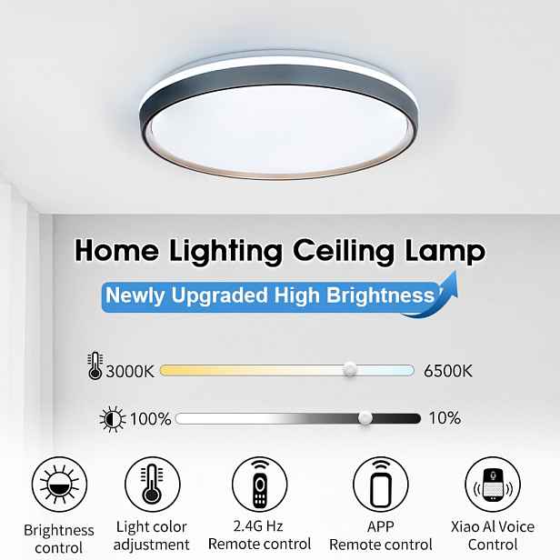 Chytré stropní světlo s ovládáním přes aplikaci/dálkové ovládání/hlasové ovládání, kovová základna, 6000 lm, 50 W