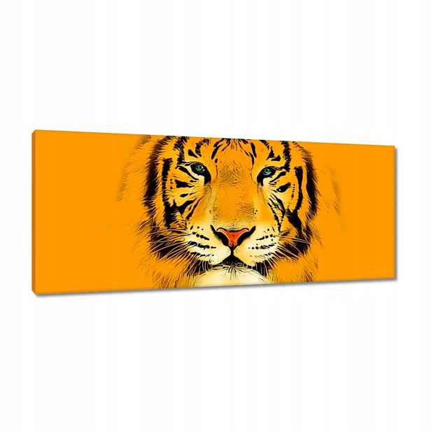 Obrazy 100x40 Oranžový tygr