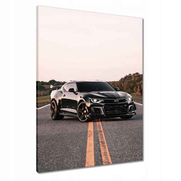 Obrazy 60x80 Automobilový průmysl Auta