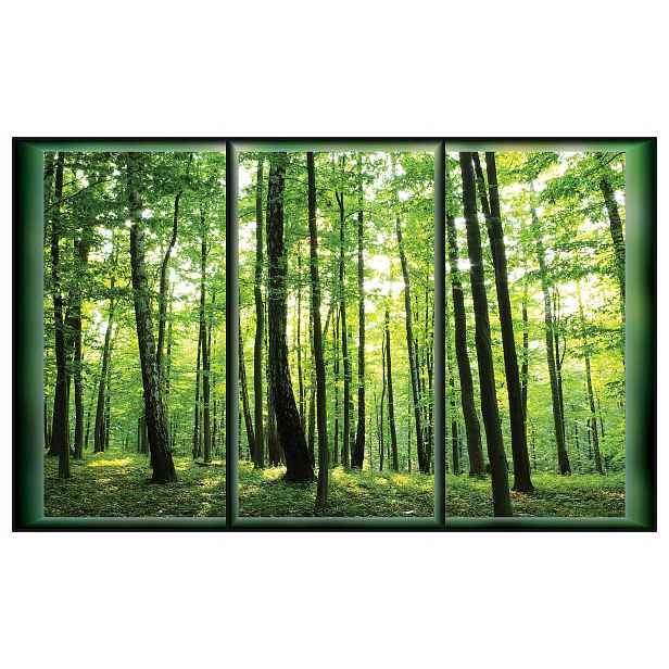 Vliesová fototapeta Zelený les Slunce a stíny stromů 312x219 lepidlo