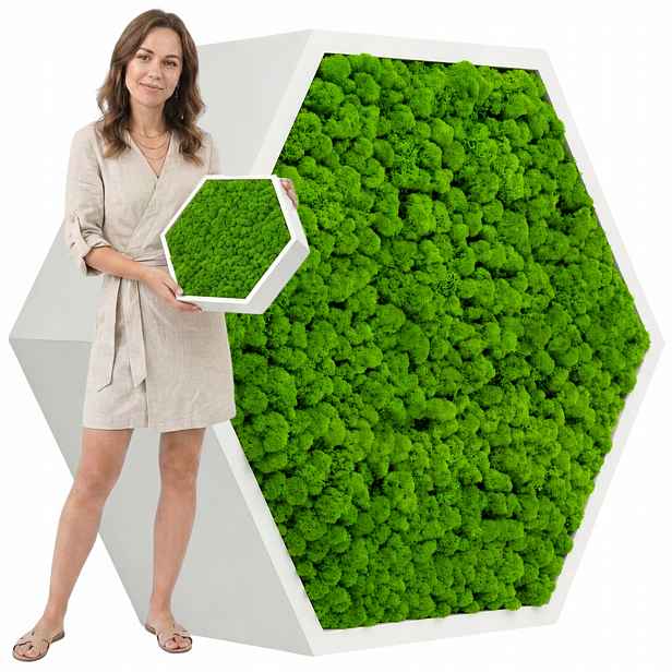 Obraz Z Mechu v dřevěném rámu Hexagon mech chrobotek Živý Obraz ručně vyrobený