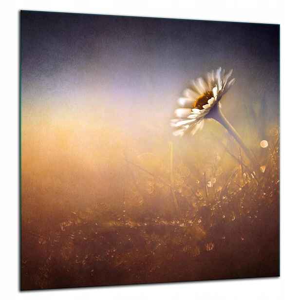 Skleněná Ochranná Deska Panel Lepidlo 60x65 Květina