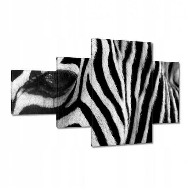 Obrazy 130x80 Černobílé pruhy Zebra