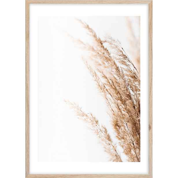 Obraz 50x70 cm Beige II – Styler