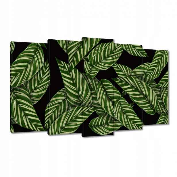 Obrazy 100x60 Zelené listy Tropiky