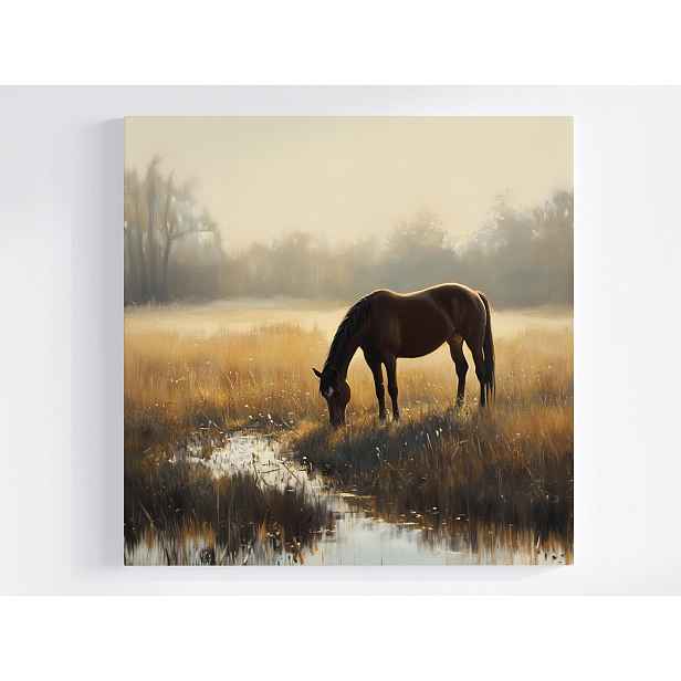 Obraz Na Plátně Canvas Krajina Venkovní Louka Kůň Kaštan Ráno Mlha 50x50