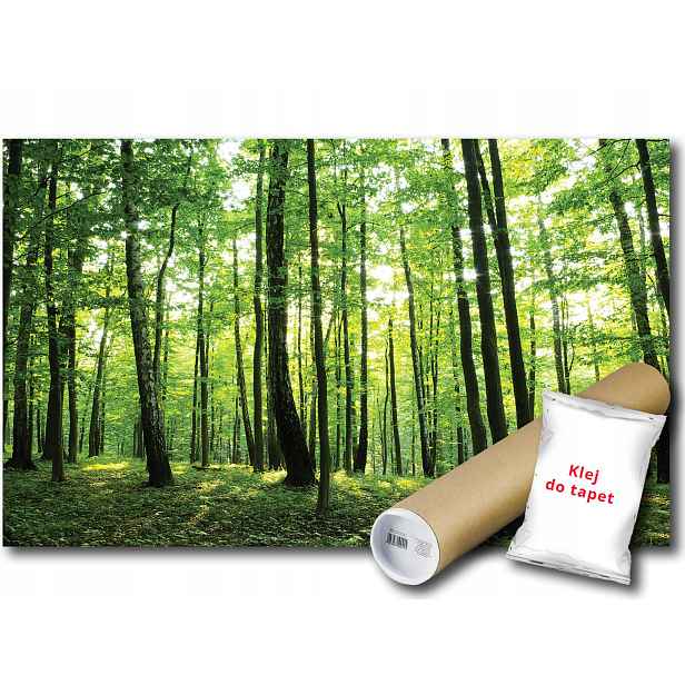 Vinylová fototapeta Les Stromy Zeleň Příroda Výhled 152x104