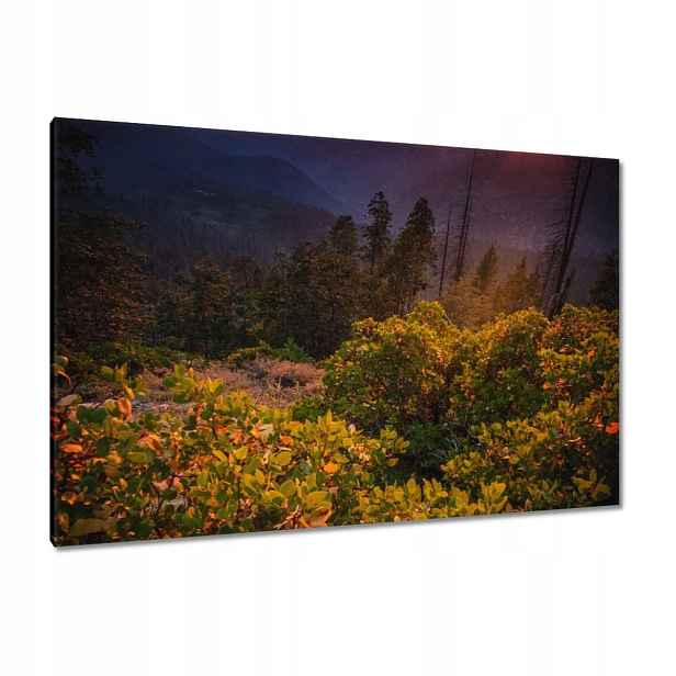 Obrazy 120x80 Pohled Krajina