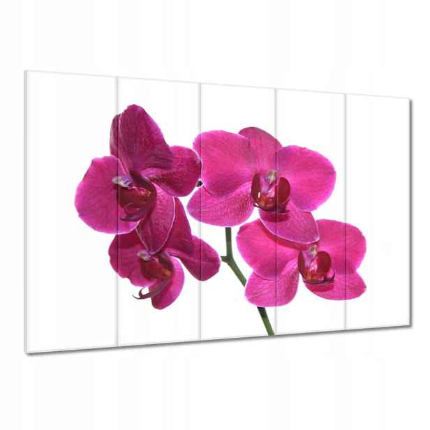 Obrazy 100x70 Fialový orchidej