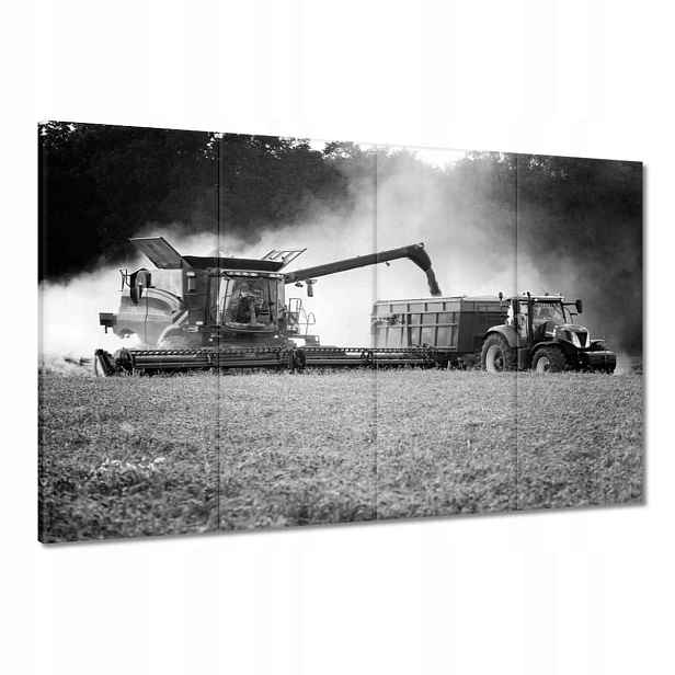 Obrazy 120x80 Sklizeň Traktor Kombajn