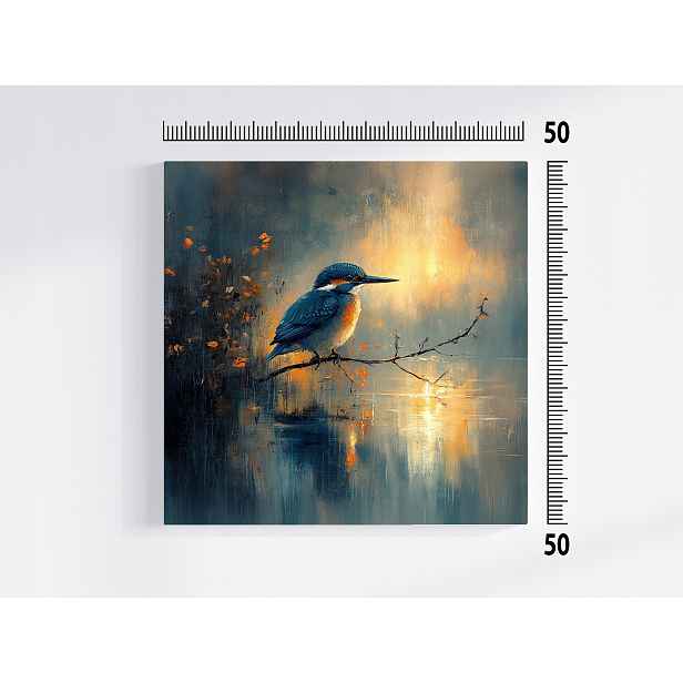 Obraz Na Plátně Canvas Ptáček Zimorodek Příroda Fauna 50x50