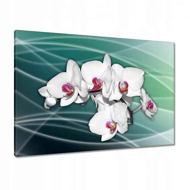 Obrazy 100x70 Orchideje květiny na zeleném pozadí