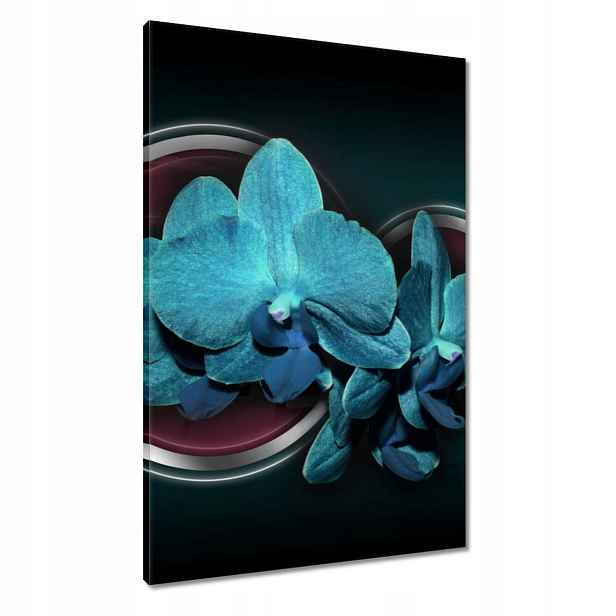 Obrazy 60x90 Modrý orchidej