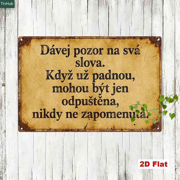 TEMU 2D Plochý, 1 ks, Retro Český Slogan Kovová Cedule, 20x30cm Železná Cedule, Potištěná Životními Filozofickými Aforismy o Slovech, Klasický
