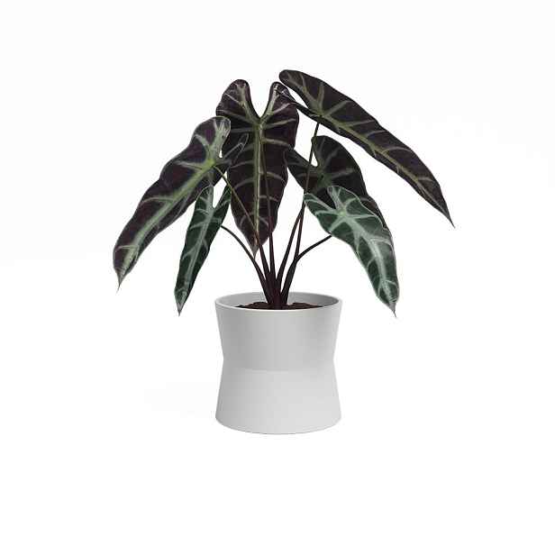 Keramický květináč ø 14 cm Diana – Artevasi