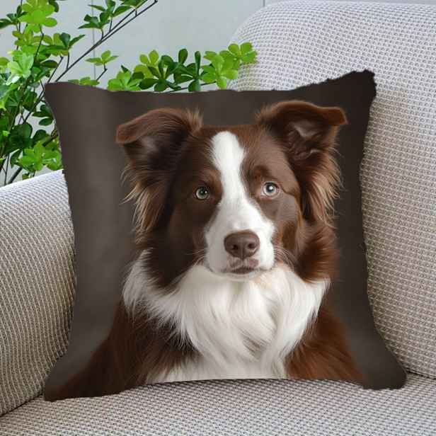 TEMU 1 Povlak na polštář Border Collie, 18x18 palců, moderní styl, jednostranný potisk, pratelný v pračce, zipové uzavření, , dekorativní potah na