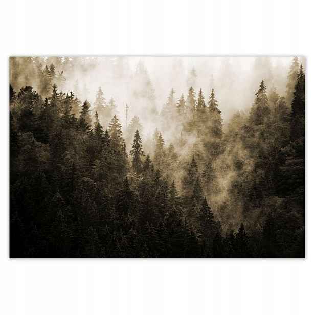 Fototapety 152x104 Krajina Sépie Hory Mlha