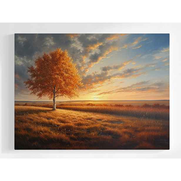 Plakát Krajina Dřevo Bříza Podzim Slunce Západ 100x75