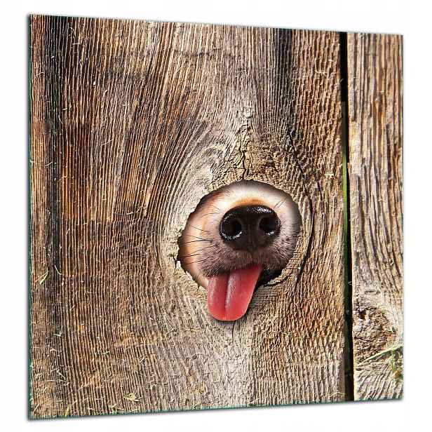 Skleněná Ochranná Deska Panel Lepidlo 60x65 Dřevo Tvrzené Sklo