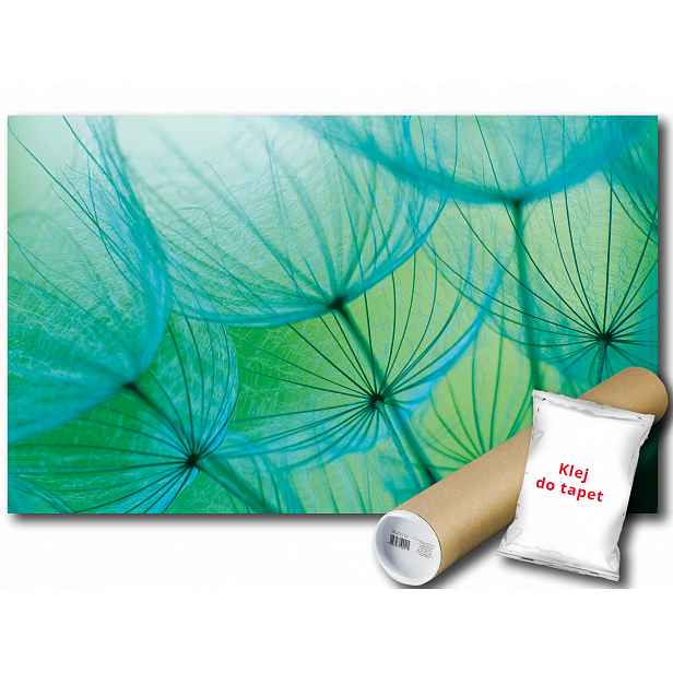 Fototapeta Foukačky Květiny 9A F3XL 416x254 F585