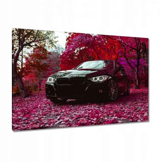 Obrazy 120x80 Černé Bmw Podzim