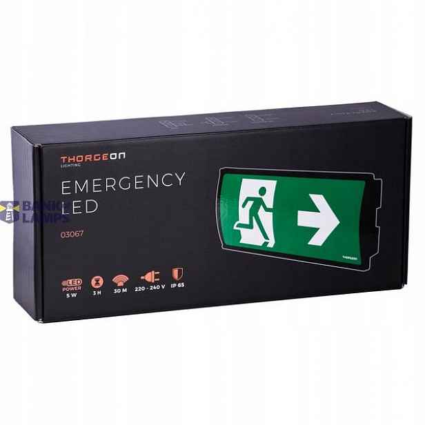Thorgeon černá Led nouzová lampa 5W 6000K 50 lm 30 m IP65 03067
