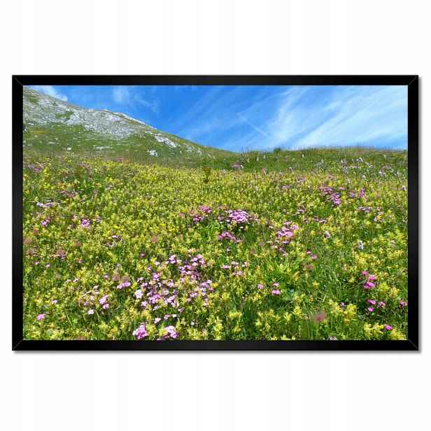 Plakáty v rámu 60x40 Alpská louka