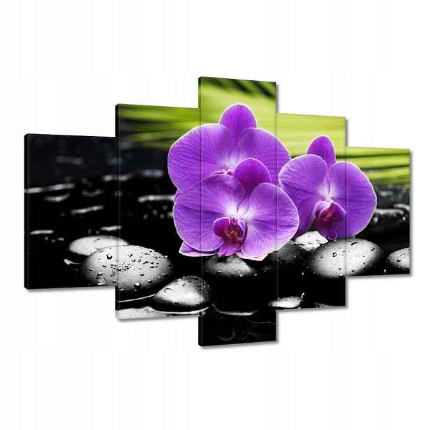 Obrazy 120x80 Fialové orchideje