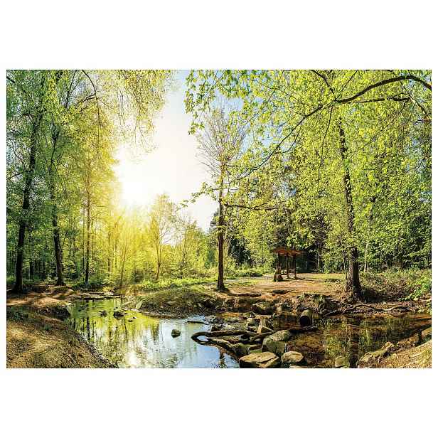 Fototapeta Les a Slunce vinylová altánka 416x254 zelená krajina lepidlo