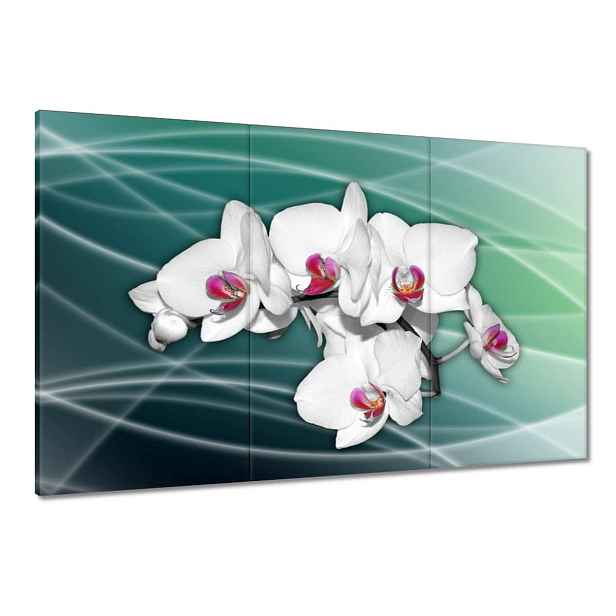Obrazy 120x80 Orchideje květiny na zeleném pozadí