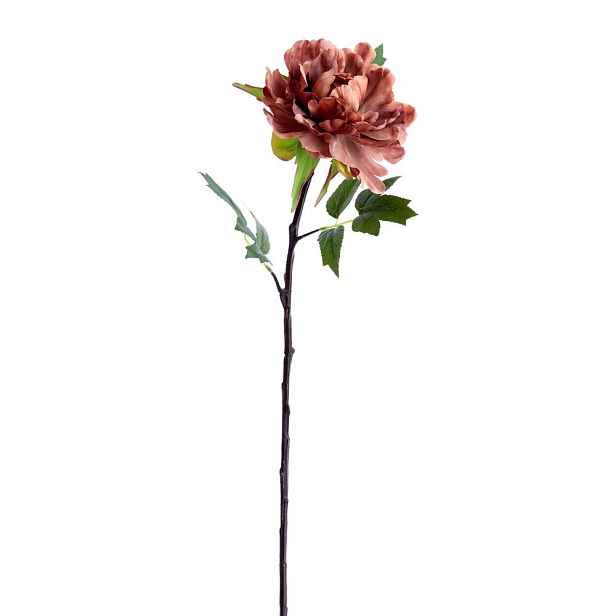 Umělá květina (výška 65 cm) Peonia – Light & Living