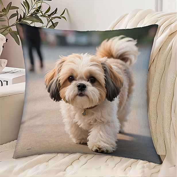 TEMU 2D plochý - Plyšový povlak na polštář s Shih Tzu o rozměrech 18*18 palců, s realistickým nadýchaným bílým a hnědým Shih Tzu, který se vrací po