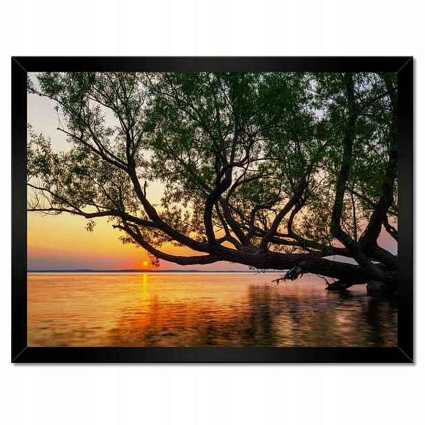 Plakáty v rámu 40x30 Strom Listy Jezero
