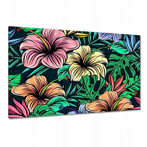 Obrazy 120x80 Monstera Zelený list