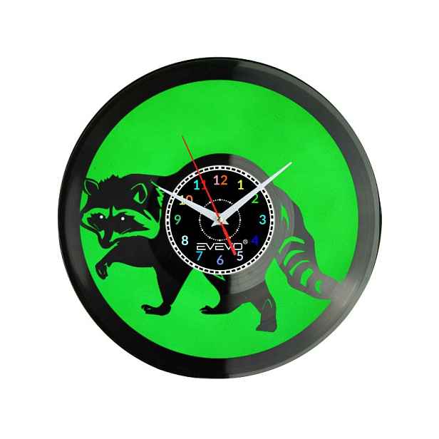 Mýval Pracz Procyon Lotor Nástěnné Hodiny Fluorescenční Pozadí Vinylová Deska