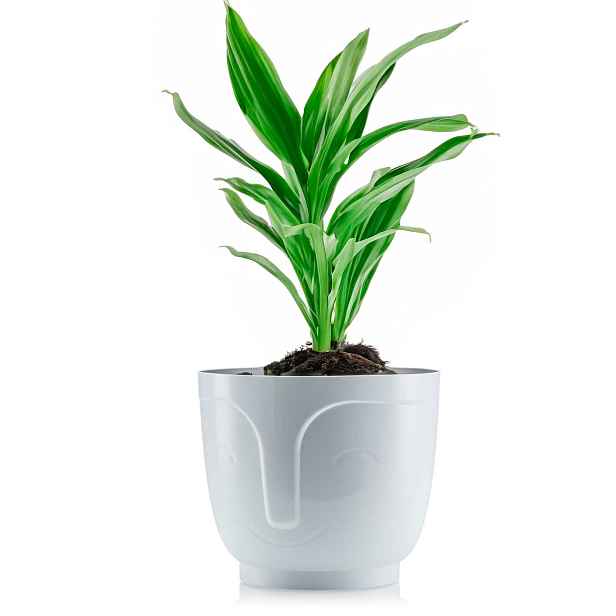 HowHomely Květináč ZOE 14,3 cm bílý