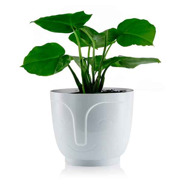 HowHomely Květináč ZOE 16 cm bílý