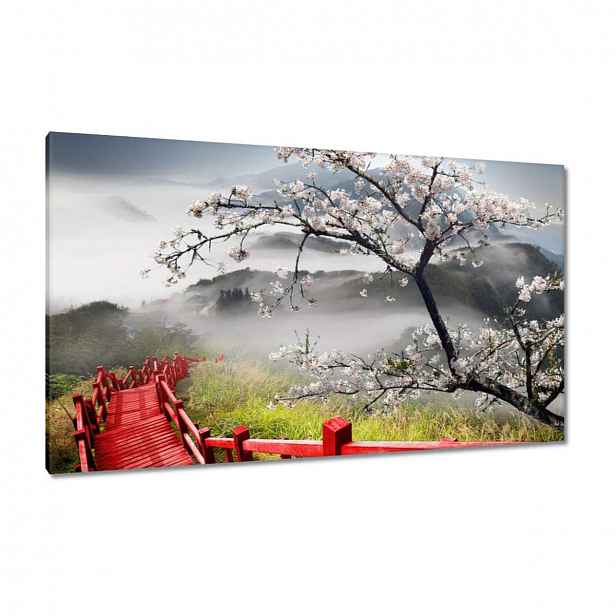 Obrazy 120x70 Červený most v Japonsku
