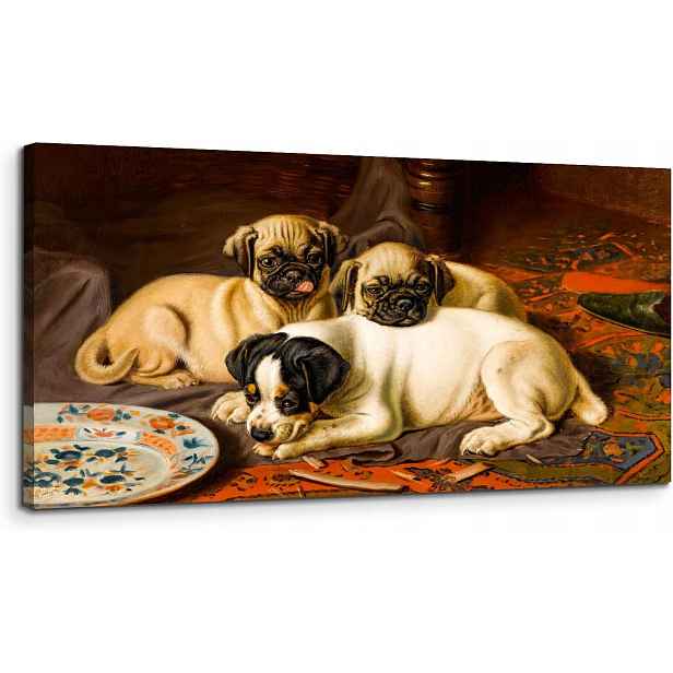 obraz na plátně Velký pes 50x100 cm Moderní dřevěný rám pro psy