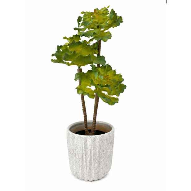 Umělý sukulent 50 cm v květináči eonium světle zeleň